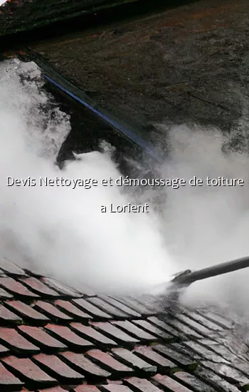 Nettoyage et démoussage de toiture à Lorient